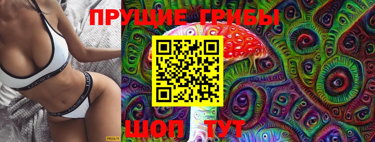 Галлюциногенные грибы Cubensis Курчатов