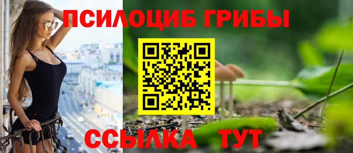Курчатов  Псилоцибиновые грибы мухоморы  Псилоцибиновые грибы Cubensis  Вход с VPN 